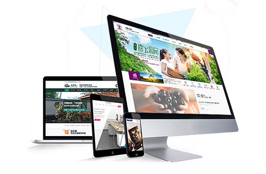 企業(yè)網(wǎng)站建設(shè)解決方案